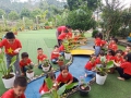Trường MN Vĩnh Phúc Thăm lớp dự giờ nâng cao chất lượng chăm sóc và giáo dục trẻ